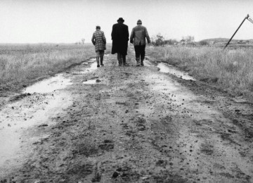 Tarr Béla emlékére